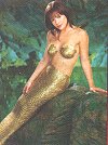 [Phoebe the mermaid]